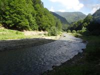 Das Tal der Vaser
