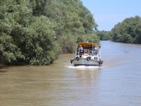 Donaudelta