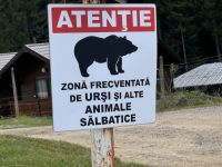 Gefahr