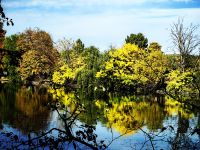Goldener Herbst in Bukarest
