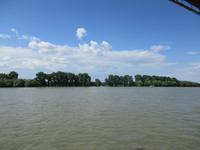 IMG 0445