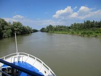 IMG 0451