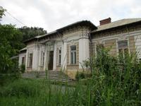 IMG 0517