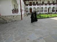 IMG 0540