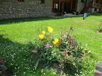IMG 0547
