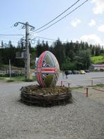 IMG 0566
