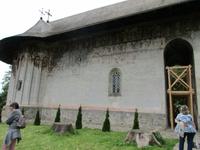 IMG 0582