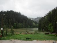 IMG 0609