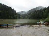IMG 0613