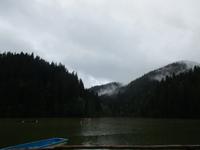 IMG 0615