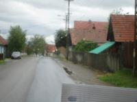IMG 0619