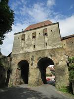 IMG 0699