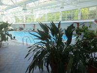 IMG 0705
