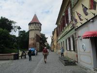 IMG 0758