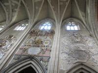 IMG 0783