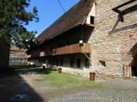 IMG 0825