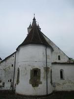 IMG 0861