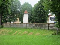 IMG 0867
