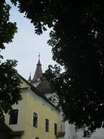 IMG 0868