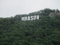 IMG 0879