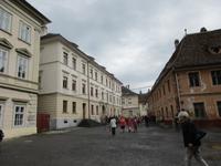 IMG 0886