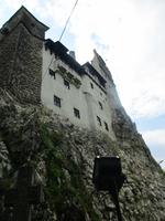 IMG 0917