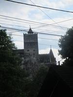 IMG 0955