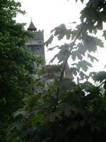 IMG 0956