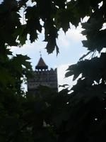 IMG 0958