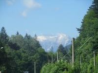 IMG 0973