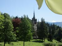 IMG 0982