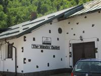 IMG 0993