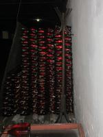 IMG 0998