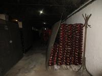 IMG 1001
