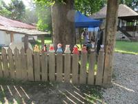 IMG 1047