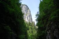 Karpaten - Klamm nahe Piatra Neam? 