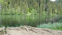 Lacu Rosu - der Mördersee