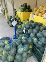 Melonen gibt es reichlich