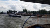 Mit der Autofähre über die Donau