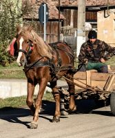 Pferdekutschen sieht man noch oft im ländlichen Rumänien