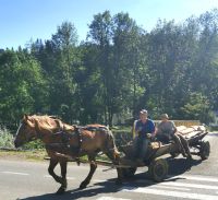Pferdewagen in Voronet