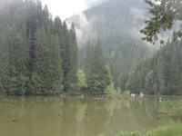 Stopp am Roten See