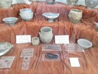 Tulcea, Museum