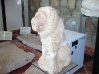 Tulcea, Museum