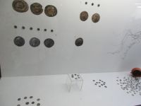 Tulcea, Museum