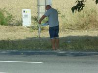frischer Fisch