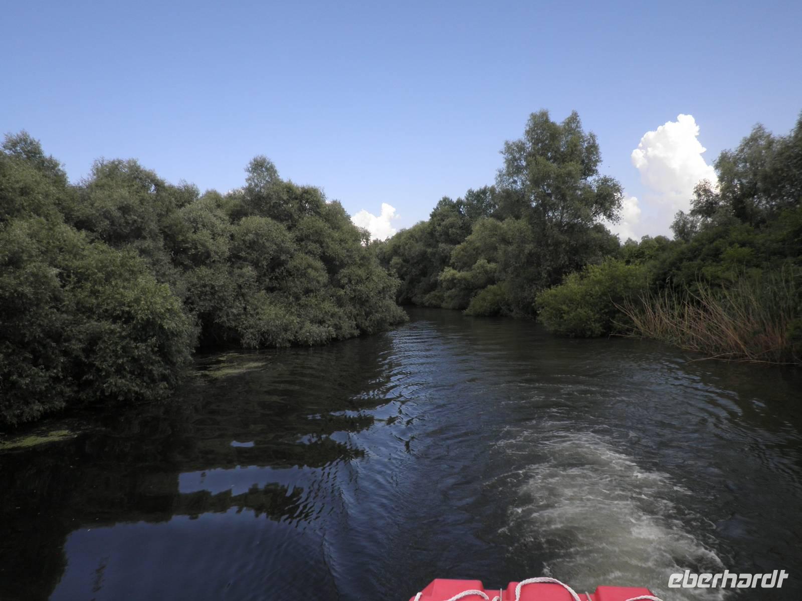 im Donaudelta