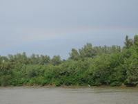 unterwegs im Donau-Delta - zaghafter Regenbogen