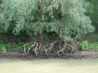 unterwegs im Donau-Delta
