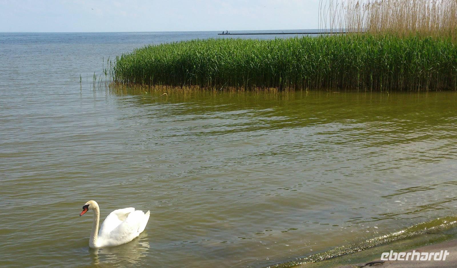 Idylle am Hotel in Nidden